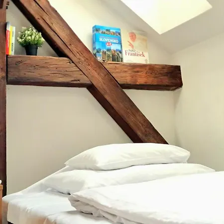Historic Attic Old Town 布拉迪斯拉发